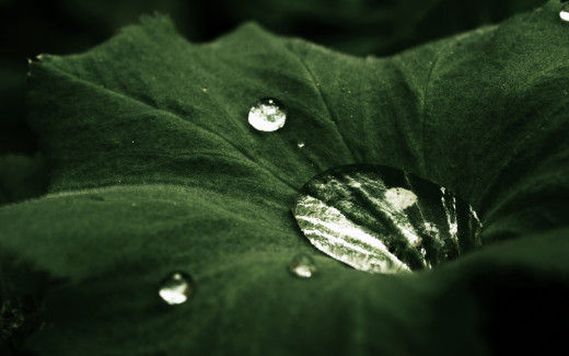 542375 (a): :2560x1600